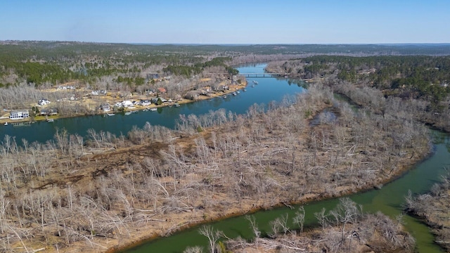 bird's eye view with a water view and a wooded view