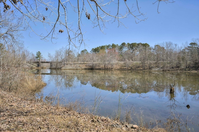 view of water feature