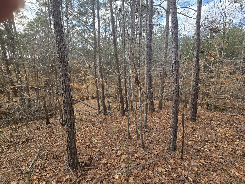 212 Starlight Ln, Mccormick, SC 29835