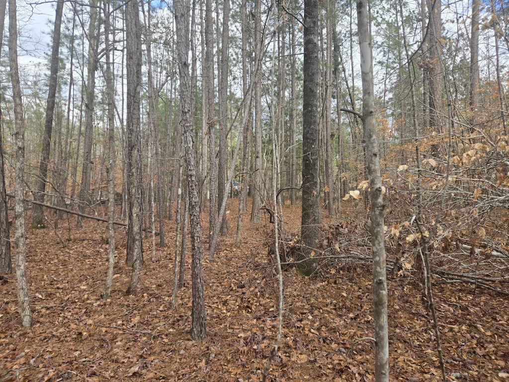 212 Starlight Ln, Mccormick, SC 29835