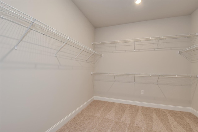walk in closet with light carpet