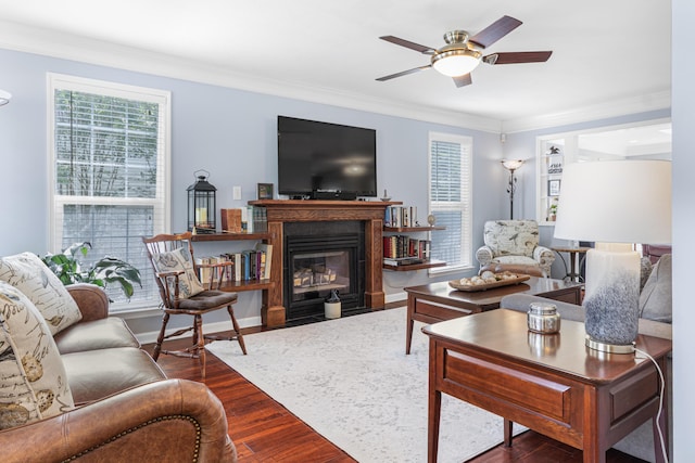 4161 Eagle Nest Dr, Evans, GA 30809 - living room with healthy amount of natural light, ceiling fan, dark wood-style floors, crown molding, and a fireplace with flush hearth