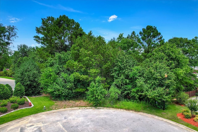 4020 Firethorn Ct, Martinez, GA 30907 - photo 7