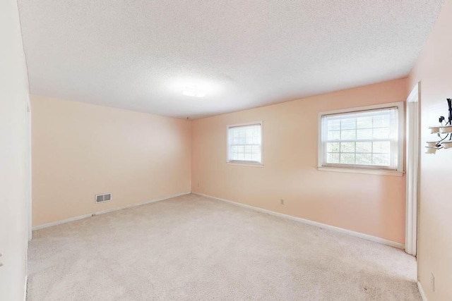 spare room featuring light carpet, plenty of natural light, and a textured ceiling