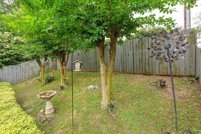 view of yard with a fenced backyard