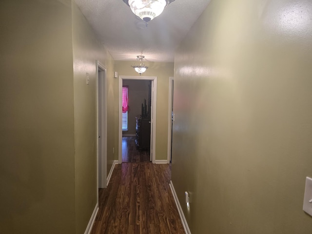 hall featuring dark hardwood / wood-style floors