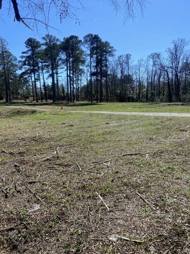 323 Forrest Clary Dr, Thomson, GA 30824