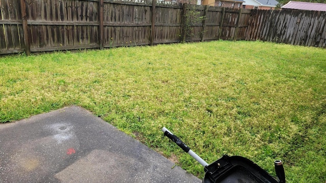 2929 Dahlia Dr, Augusta, GA 30906 - view of yard