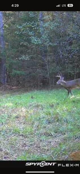 LOT5 Saggus Rd, Washington, GA 30673 - photo 10