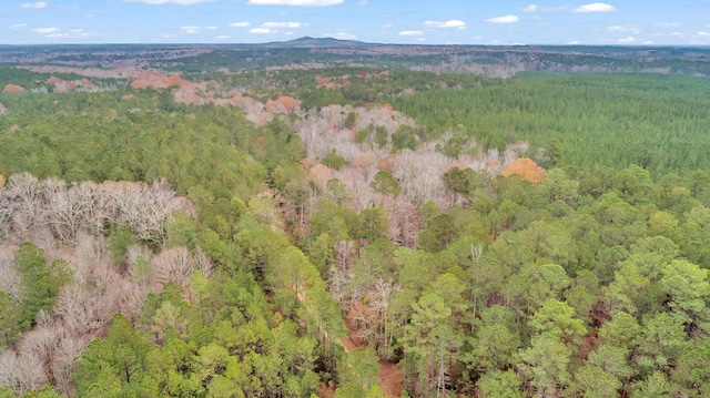 LOT5 Saggus Rd, Washington, GA 30673 - photo 16