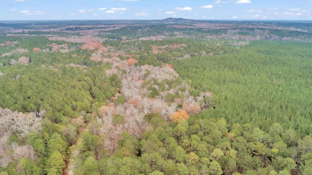 LOT5 Saggus Rd, Washington, GA 30673 - photo 24