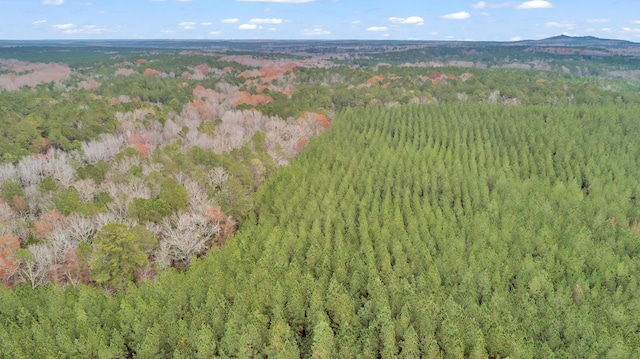 LOT5 Saggus Rd, Washington, GA 30673 - photo 14