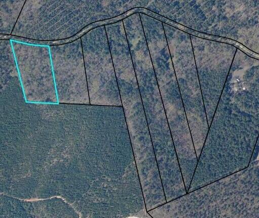 LOT5 Saggus Rd, Washington, GA 30673 - photo 31