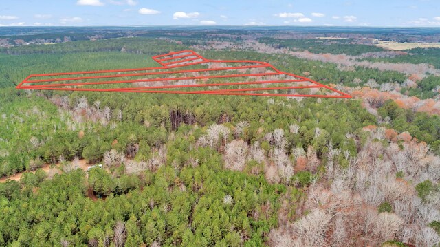 LOT5 Saggus Rd, Washington, GA 30673 - photo 40