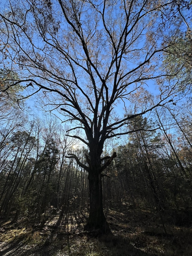 LOT5 Saggus Rd, Washington, GA 30673 - photo 5
