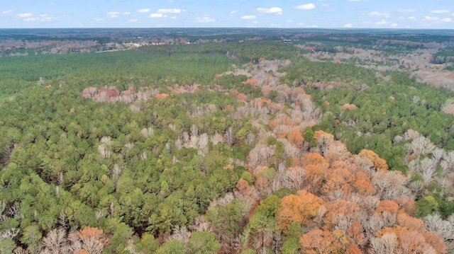 LOT5 Saggus Rd, Washington, GA 30673 - photo 28