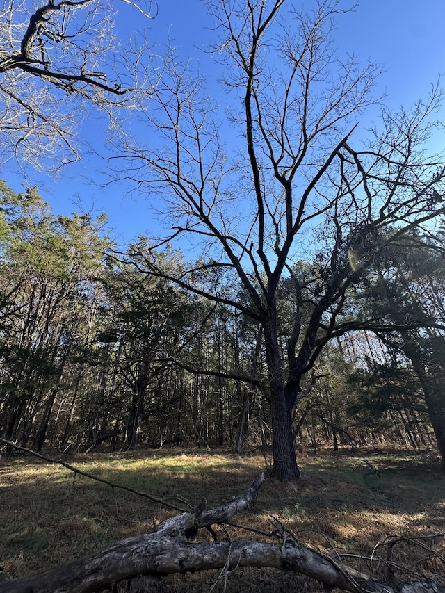 LOT5 Saggus Rd, Washington, GA 30673 - photo 3