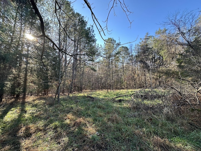 LOT5 Saggus Rd, Washington, GA 30673 - photo 4