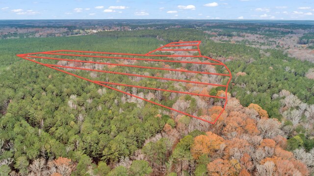 LOT5 Saggus Rd, Washington, GA 30673 - photo 39