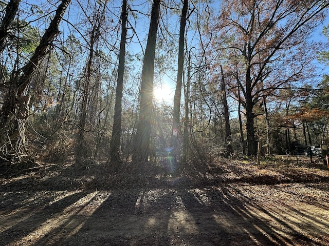 LOT5 Saggus Rd, Washington, GA 30673 - photo 1