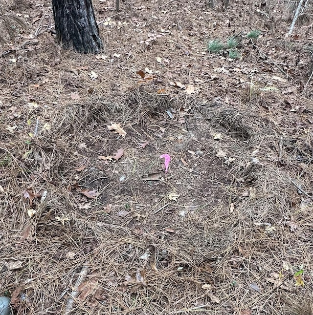 LOT5 Saggus Rd, Washington, GA 30673 - photo 11