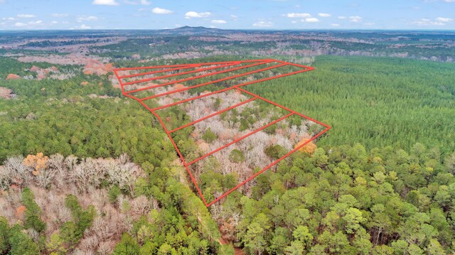 LOT5 Saggus Rd, Washington, GA 30673 - photo 36