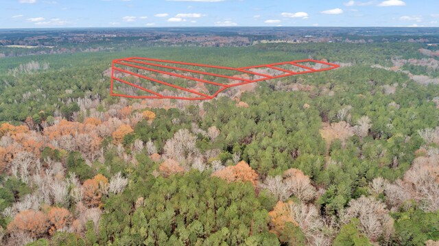 LOT5 Saggus Rd, Washington, GA 30673 - photo 38