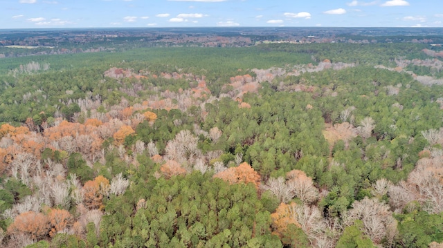 LOT5 Saggus Rd, Washington, GA 30673 - photo 27