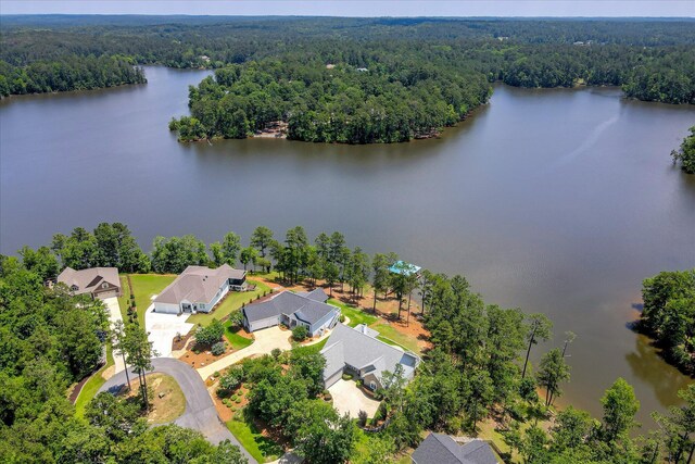 341 Crown Pt, Mccormick, SC 29835 - bird's eye view of a forest and a nearby body of water