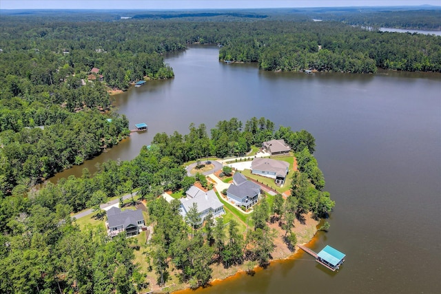 341 Crown Pt, Mccormick, SC 29835 - drone / aerial view of a heavily wooded area and a large body of water