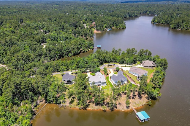 341 Crown Pt, Mccormick, SC 29835 - bird's eye view of a forest and a large body of water