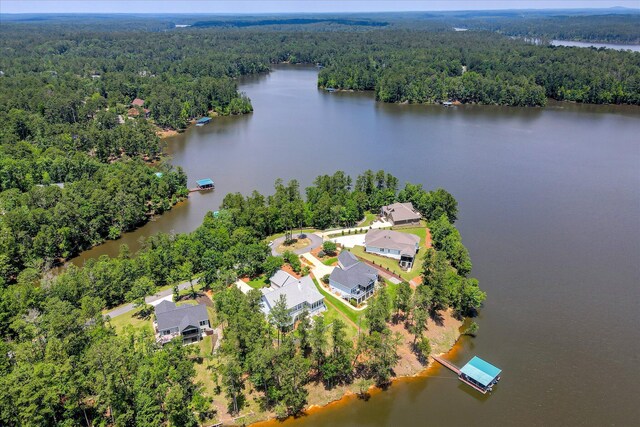 341 Crown Pt, Mccormick, SC 29835 - photo 53