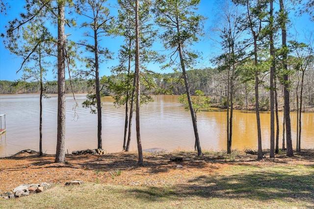 341 Crown Pt, Mccormick, SC 29835 - property view of water