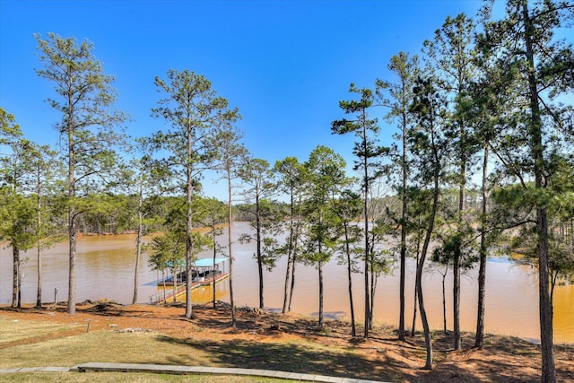 341 Crown Pt, Mccormick, SC 29835 - view of water feature featuring a dock