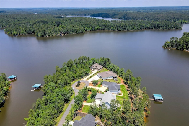 341 Crown Pt, Mccormick, SC 29835 - aerial view of a heavily wooded area and a large body of water