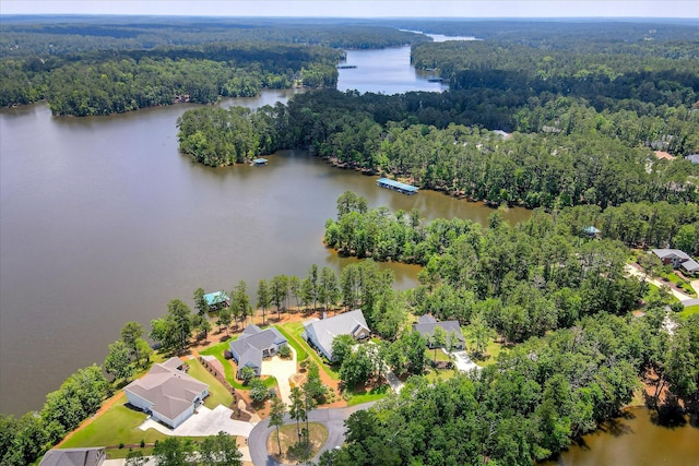 341 Crown Pt, Mccormick, SC 29835 - bird's eye view of a heavily wooded area