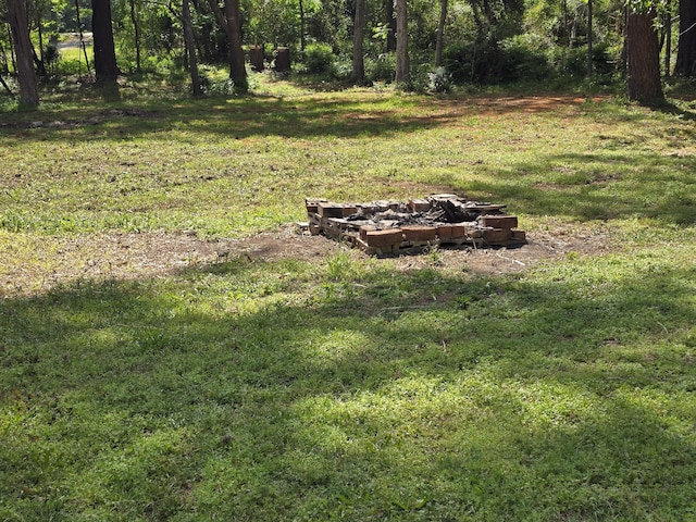 6712 Janes Rd, Appling, GA 30802 - view of yard