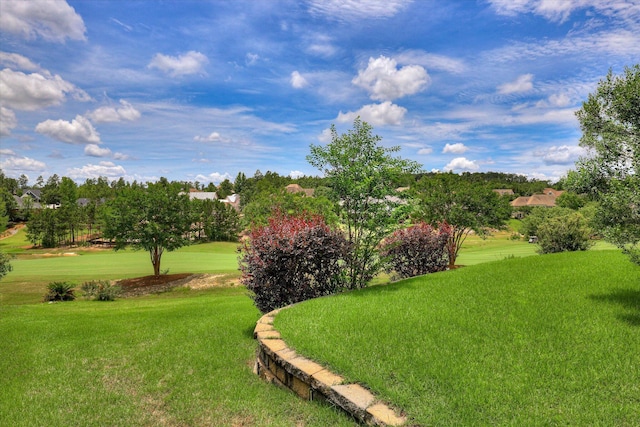 151 Commonwealth Way, Aiken, SC 29803 - view of grassy yard