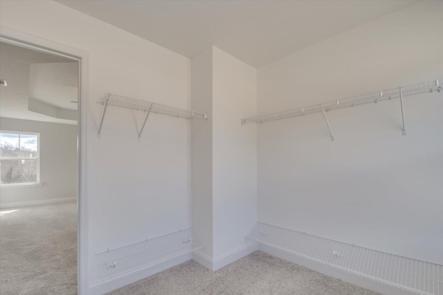 1282 Elias Sta, Thomson, GA 30824 - spacious closet with carpet floors