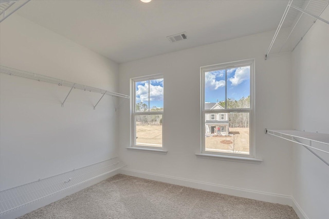 1282 Elias Sta, Thomson, GA 30824 - spacious closet with carpet floors