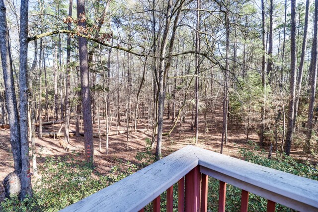 309 Misty Cv, Mccormick, SC 29835 - photo 36