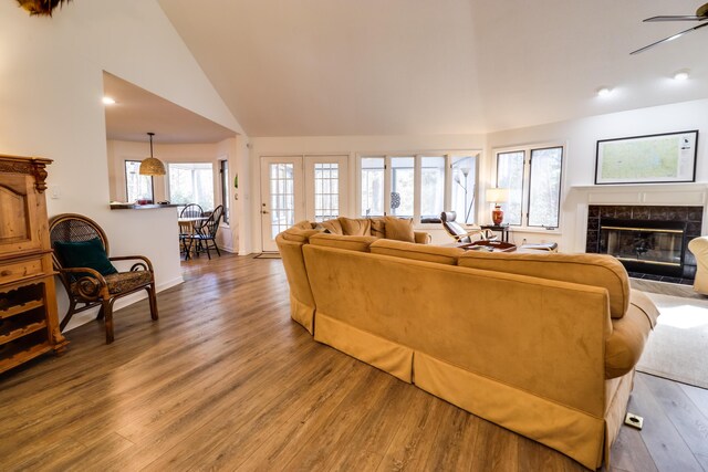 living room featuring a fireplace, ceiling fan, plenty of natural light, and wood-type flooring