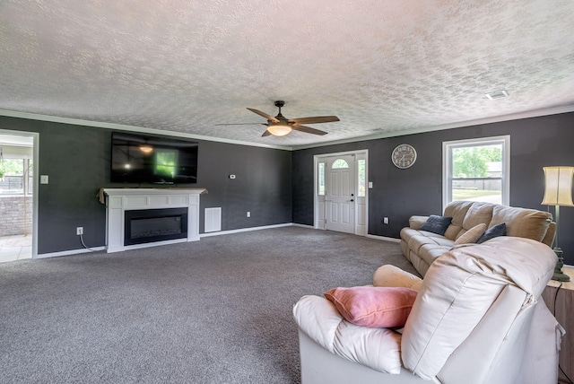 226 Elam Hts, Lincolnton, GA 30817 - living area featuring baseboards, ornamental molding, a ceiling fan, a fireplace, and carpet floors