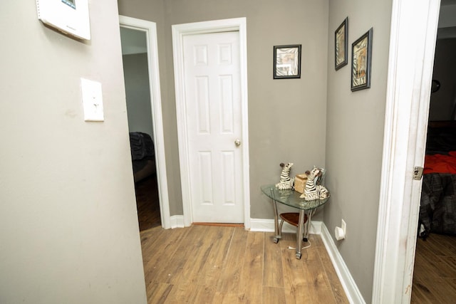 3107 Camden Way, Graniteville, SC 29829 - corridor with wood finished floors and baseboards