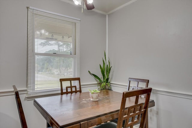 dining area with ceiling fan and ornamental molding