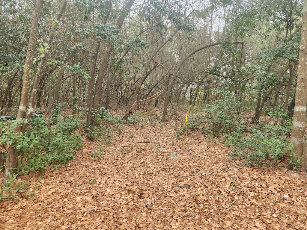 0 Old Lloydtown Rd, Aiken, SC 29801 - photo 1