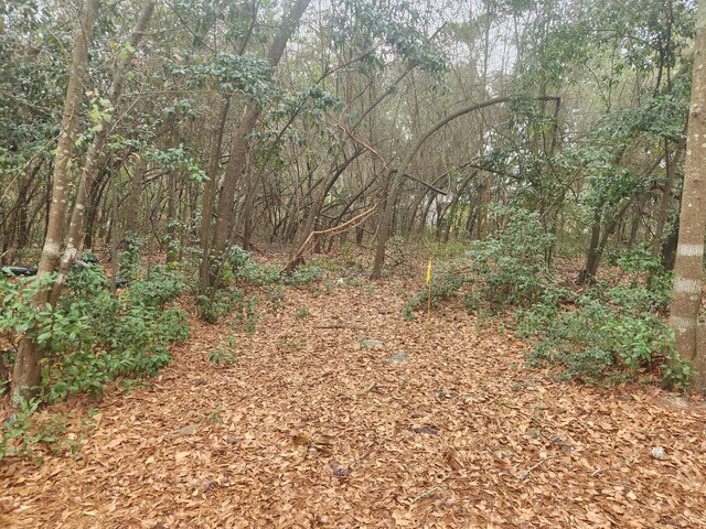 0 Old Lloydtown Rd, Aiken, SC 29801 - photo 1
