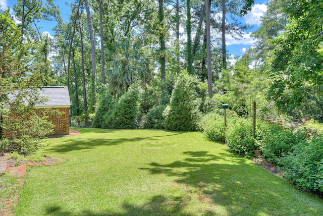 802 Dunbarton Dr, North Augusta, SC 29841 - view of grassy yard