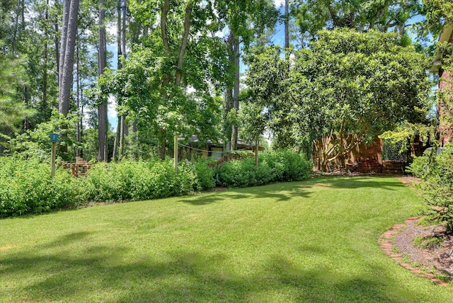 802 Dunbarton Dr, North Augusta, SC 29841 - view of grassy yard