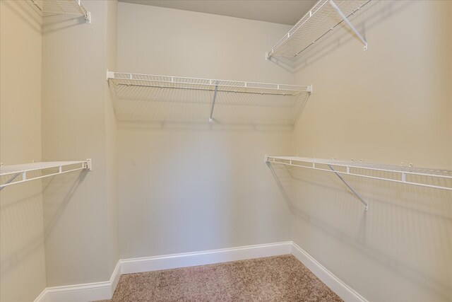 5816 Whispering Pines Way, Evans, GA 30809 - walk in closet featuring carpet